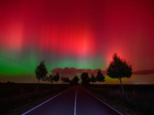 Polarlichter leuchten am Nachthimmel über einer Straße im östlichen Brandenburg.