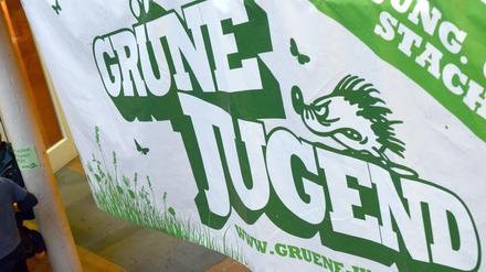 Der gesamte Vorstand der Nachwuchsorganisation war Ende September zurückgetreten. 