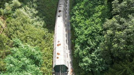 Die Hermann-Hesse-Bahn bei Calw ist ein jüngeres Beispiel für die Reaktivierung alter Bahntrassen. 