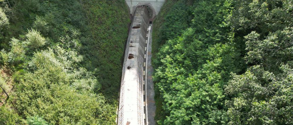 Die Hermann-Hesse-Bahn bei Calw ist ein jüngeres Beispiel für die Reaktivierung alter Bahntrassen.