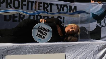 Peta fordert Tui auf keine Tickets mehr für Zoos mit Orca-Haltung zu verkaufen.