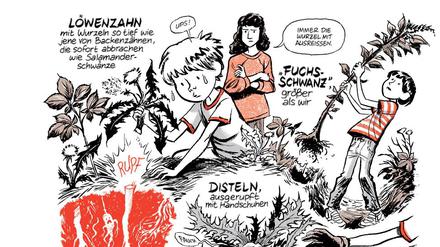 Eine Seite aus „Ginsengwurzeln“.