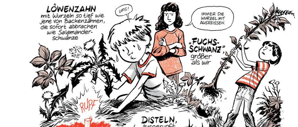 Eine Seite aus „Ginsengwurzeln“.