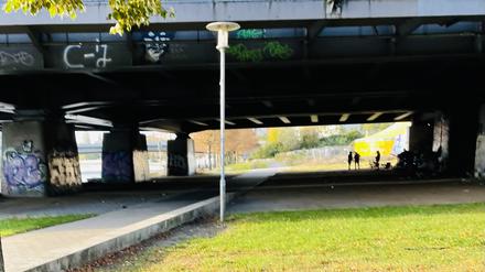 Die Bahnbrücke am Havelufer.