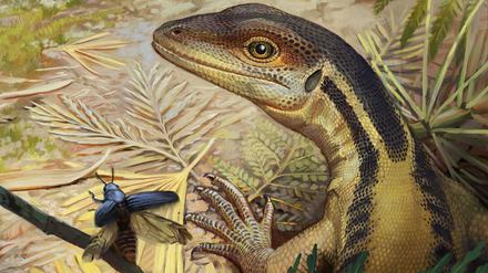 So könnte ein Reptil ausgesehen haben, das ein Vorfahr aller heutigen Reptilien war. (Illustration)