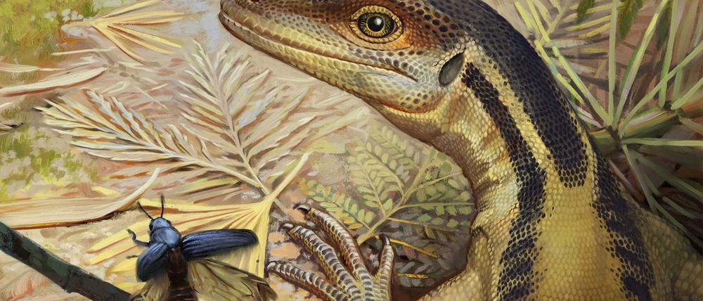 So könnte ein Reptil ausgesehen haben, das ein Vorfahr aller heutigen Reptilien war. (Illustration)