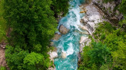Gegenüber dem sogenannten „blauen“ Wasser in Flüssen und Seen, wird das „grüne“ Wasser in Vegetation und Böden bei Maßnahmen bislang eher vernachlässigt.