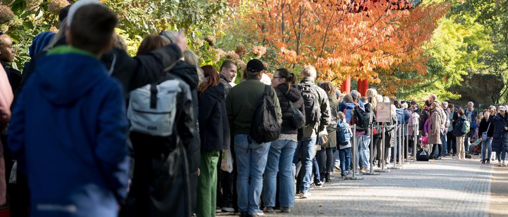 Die Schlange vor dem Panda Garden ist mehrere hundert Meter lang.