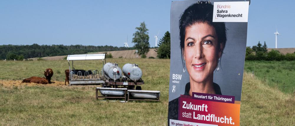 Das Bündnis Sahra Wagenknecht schaffte nicht nur in Thüringen, sondern auch in Sachsen und Brandenburg aus dem Stand gute Ergebnisse - und redet nun mit. (Archivbild)