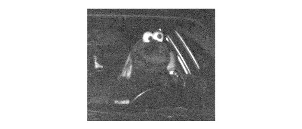 Das Bußgeld für das geblitzte „Krümelmonster“ wurde bezahlt. (Archivbild)