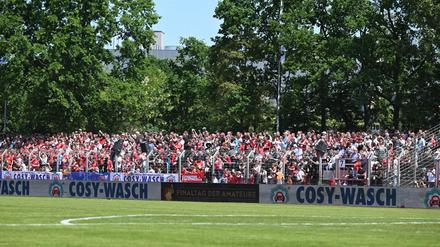 Der Finaltag der Amateure 2025 steigt im Mommsenstadion. 