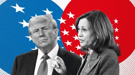 Trump und Harris kämpfen um den Einzug ins Weiße Haus.