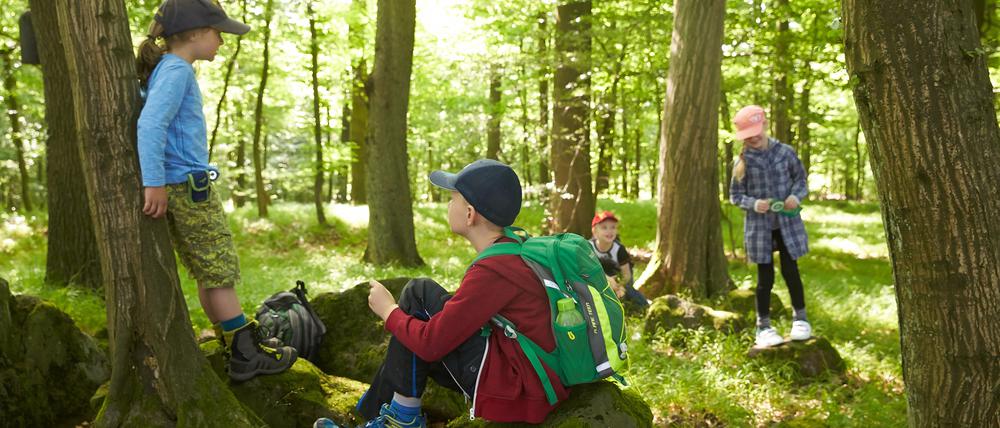 Kinder der Klasse zwei der Ahrbach-Grundschule in Niederahr erkunden den Wald.
