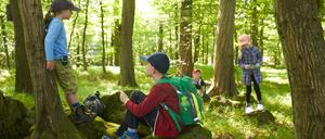Kinder der Klasse zwei der Ahrbach-Grundschule in Niederahr erkunden den Wald. 