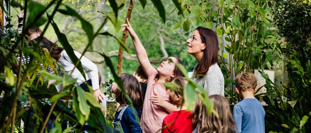 Der Berliner Senat möchte ausgerechnet an den Zuschüssen für Klassenfahrten sparen
