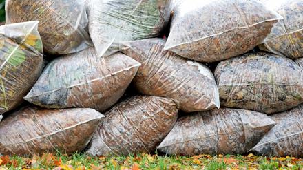 In Reih und Glied liegen „Grünabfallsäcke“ mit Herbstlaub an einem Gartenzaun zur Abholung bereit.