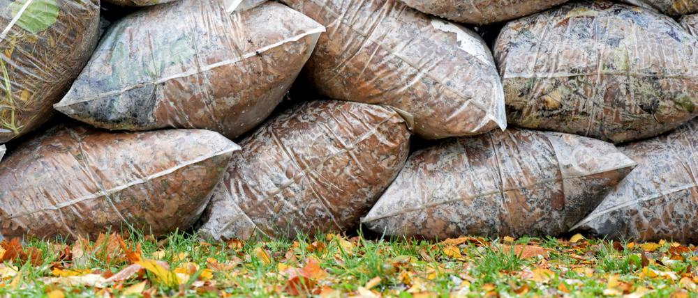 In Reih und Glied liegen „Grünabfallsäcke“ mit Herbstlaub an einem Gartenzaun zur Abholung bereit.