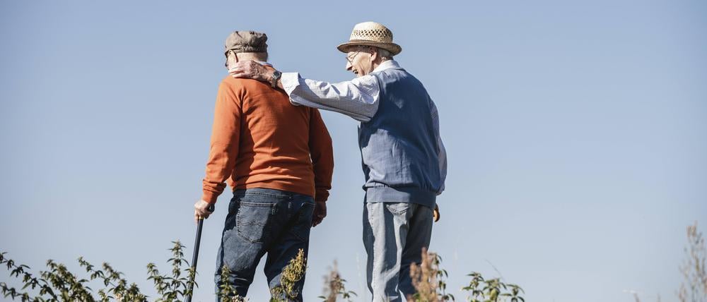Two old friends taking a stroll through the fields, talking about old times model released, Symbolfoto, UUF15466