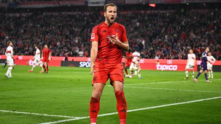 Harry Kane ist wieder in Torlaune.