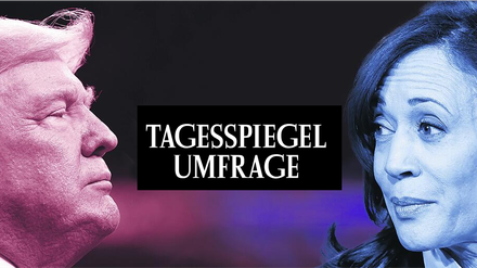 Tagesspiegel Umfrage 
