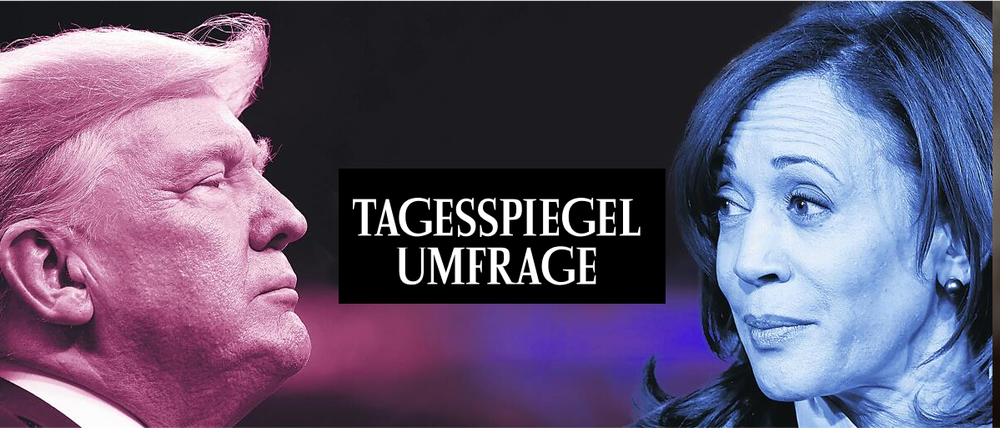 Tagesspiegel Umfrage 