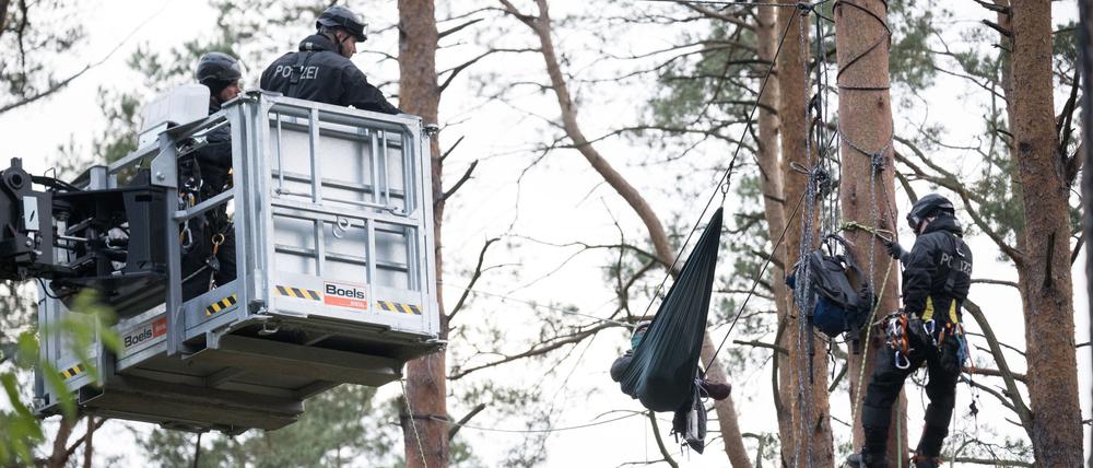 Erst vor ein paar Tagen hatten Aktivisten mit einem besetzten Baum einen Polizeieinsatz ausgelöst. (Archivbild)