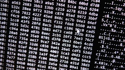 Für Unternehmen können auch die eigenen Angestellten ein Cyberrisiko darstellen, warnt der Versicherer Hiscox. (Archivbild)