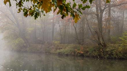 Der Nebel vom Morgen soll sich im Laufe des Tages auflösen.