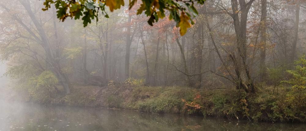 Der Nebel vom Morgen soll sich im Laufe des Tages auflösen.