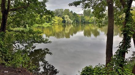Aradosee Potsdam (Klaer)