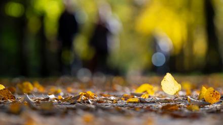 Mit reichlich Sonne und milden Temperaturen lässt sich der Herbst am Wochenende aushalten.