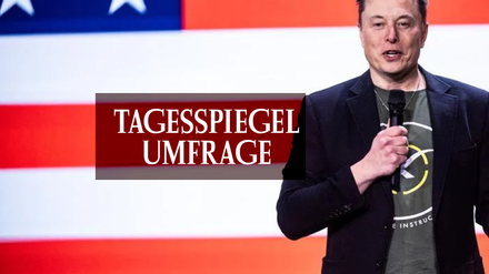 Tagesspiegel Umfrage