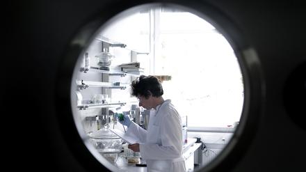 An der Uni entscheidet sich erst spät, ob man dauerhaft beschäftigt wird, oder sich beruflich umorientieren muss.
