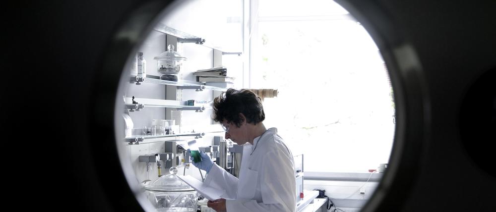 An der Uni entscheidet sich erst spät, ob man dauerhaft beschäftigt wird, oder sich beruflich umorientieren muss.