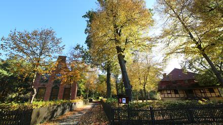 Herbst am Jagdschloss Stern in Potsdam.
