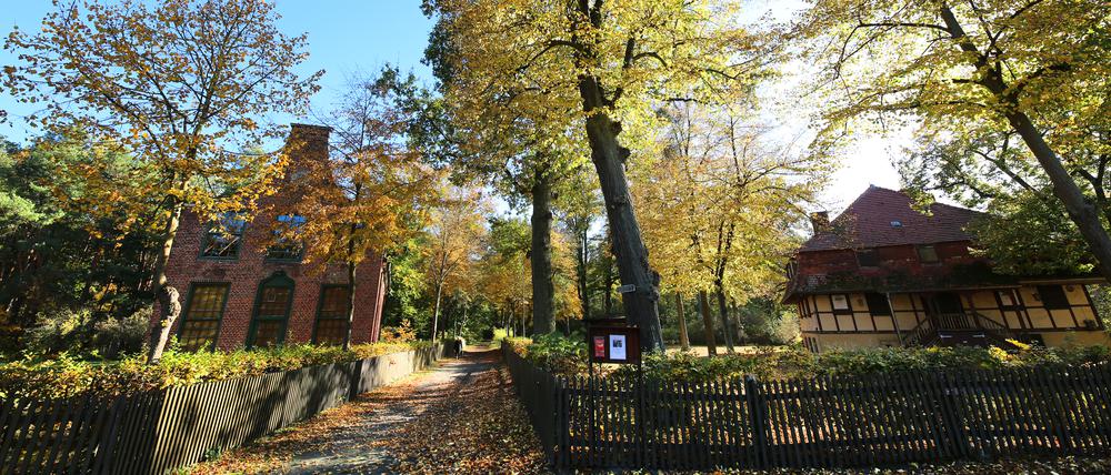 Herbst am Jagdschloss Stern in Potsdam.