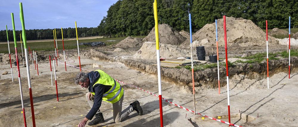 Bei erneuten Grabungsarbeiten wurde eine dicht bebaute Siedlung entdeckt. 