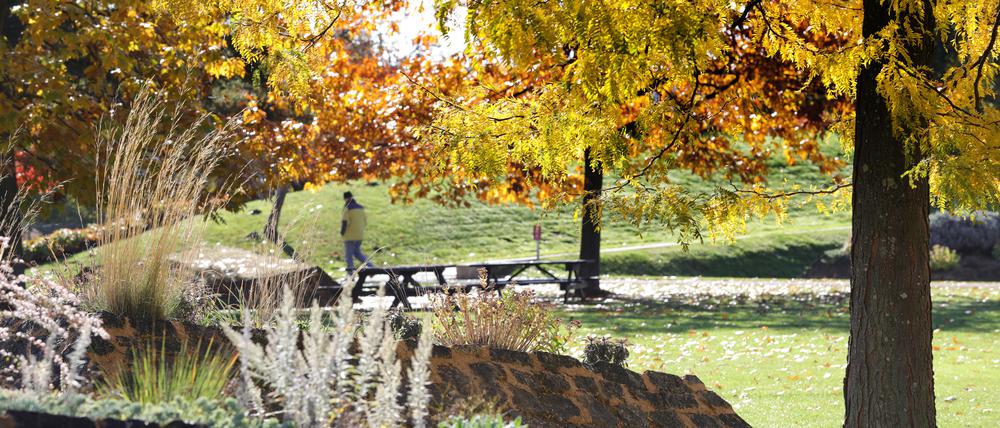 Herbst im Volkspark Potsdam.