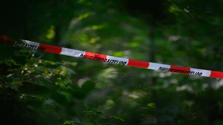 Absperrband der Polizei ist in einem Wald gespannt (Symbolbild).