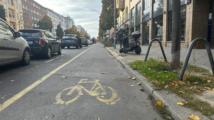 Der Radweg in der Kantstraße: Er führt zwischen parkenden Autos und dem Fußgängerweg entlang. 