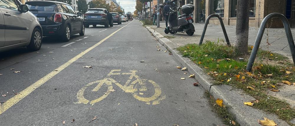 Der Radweg in der Kantstraße: Er führt zwischen parkenden Autos und dem Fußgängerweg entlang.