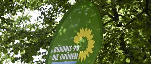 In mehreren Bundesländern waren Mitglieder der Grünen Jugend aus der Partei ausgetreten.