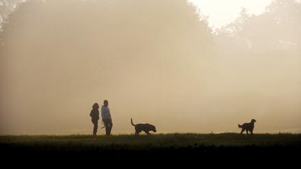 Ein Paar läuft mit Hunden im Nebel spazieren. 