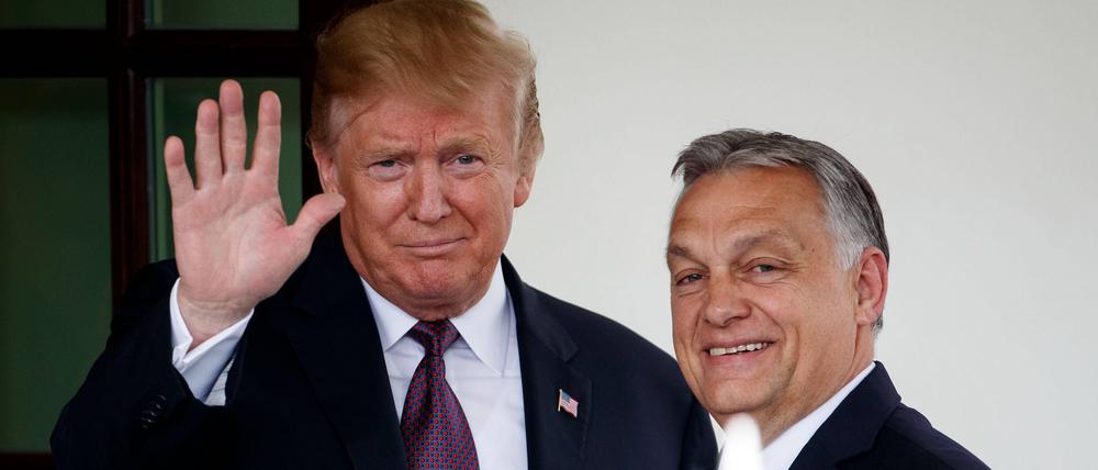 Köpfe des Antiliberalismus: Ungarns Ministerpräsident Viktor Orbán (rechts) und der republikanische US-Präsidentschaftskandidat Donald Trump.