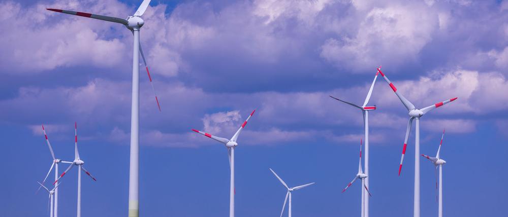 In den ersten neun Monaten wurden 19,6 Terawattstunden Strom mehr aus dem Ausland bezogen als umgekehrt aus Deutschland ins Ausland flossen.