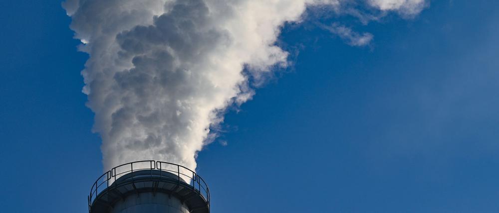 Die Unternehmen in Brandenburg sehen sich in einem immer schwieriger werdenden Marktumfeld. (Symbolbild)