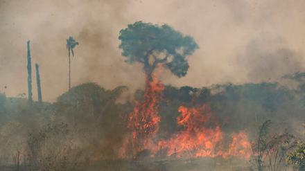 Der Klimawandel beeinträchtigt weltweit immer stärker die menschliche Gesundheit. (Archivbild)