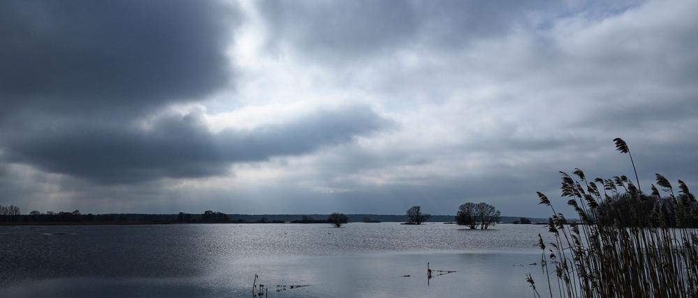 Die Aussichten zur Mitte der Woche sind trüb, aber es bleibt mild. (Archivbild)