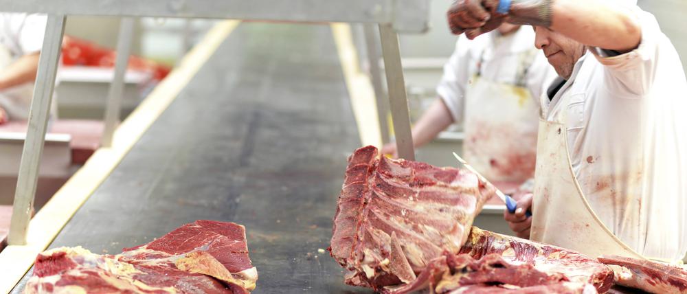 Mitarbeiter am Förderband für Fleisch. Umweltverbände werfen Fleischkonzernen vor, ihren Sorgfaltspflichten nicht gerecht zu werden.