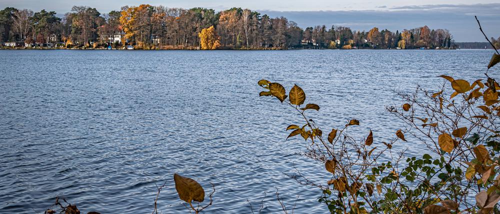 Durch den Wald ans Wasser. Die Wanderung von Grünau nach Schmöckwitz lockt mit fantastischen Ausblicken.